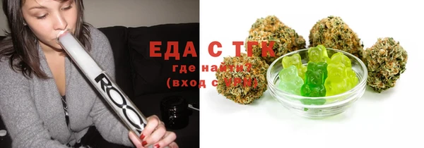 индика Володарск