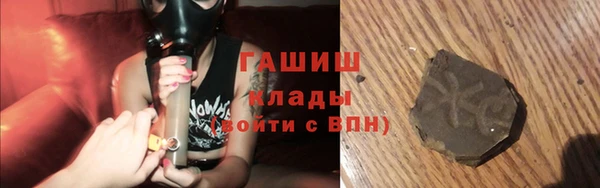индика Володарск
