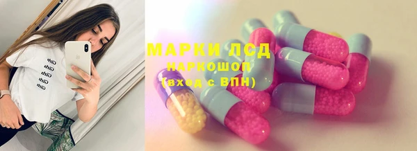 индика Володарск