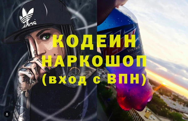 индика Володарск
