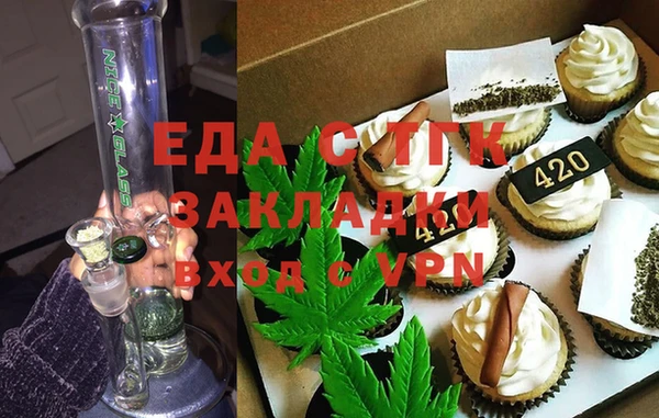 индика Володарск