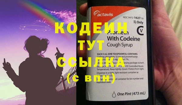 индика Володарск