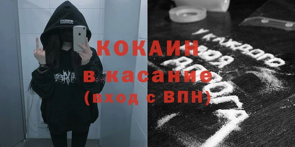 индика Володарск