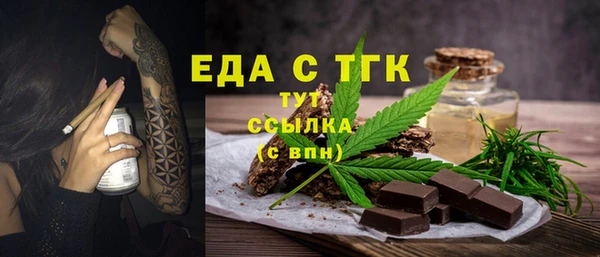 индика Володарск
