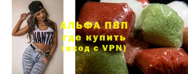 индика Володарск